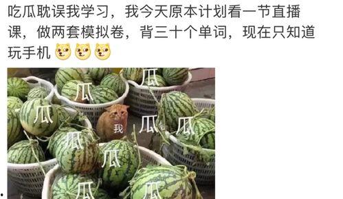 421吃瓜最新视频,揭秘最新视频背后的惊人真相