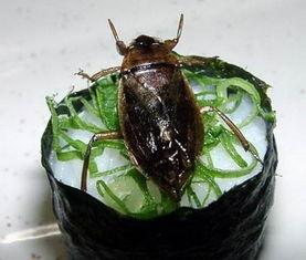 什么瓜菜没有虫吃呢视频,天然防虫之道