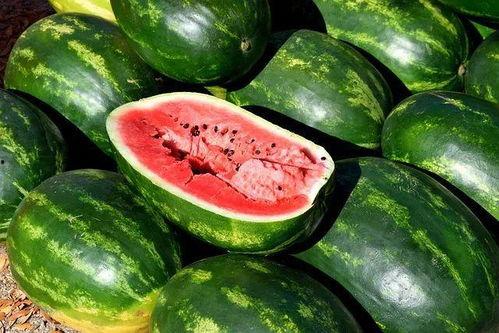 霸气吃瓜视频大全,带你领略视频大全的趣味盛宴