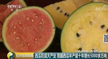 西瓜视频吃瓜群众聚集地,吃瓜群众的狂欢聚集地