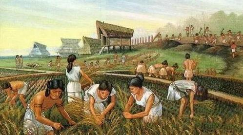 青海两个阿爸吃瓜视频,青海双阿爸瓜田欢乐时光