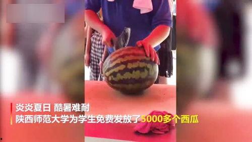 河北学院吃瓜视频,揭秘校园生活趣味瞬间