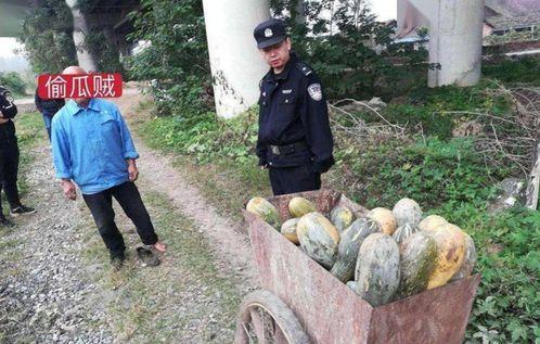 莱西三山岛吃瓜事件视频,一场引发热议的网络奇观