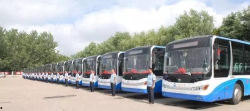 日照吃瓜视频公交车,夏日街头一幕引网友热议