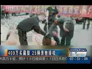 奇闻趣事吃瓜视频大全,揭秘吃瓜视频大全中的爆笑瞬间