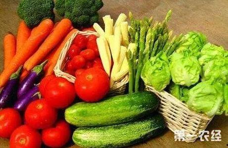 吃瓜蔬菜棒蘸酱视频,吃瓜群众的美食新宠