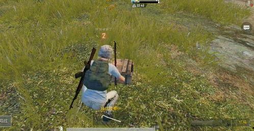 吃瓜者的视频,一场视觉盛宴背后的故事