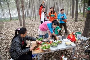 户外活动吃瓜视频,吃瓜视频里的欢乐时光